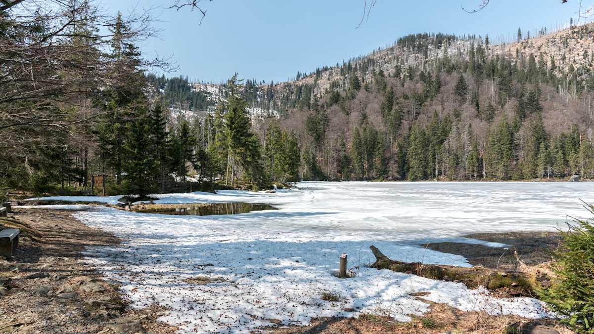 Rachelsee im Bayerischen Wald im Winter