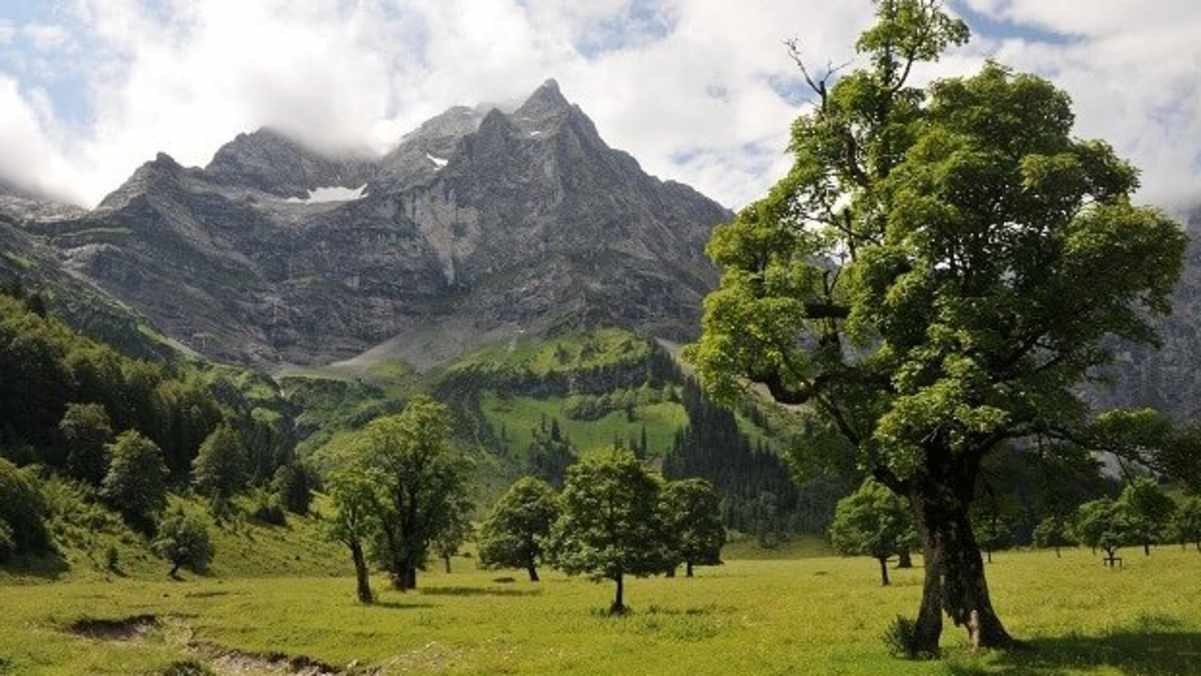 Der Große Ahornboden