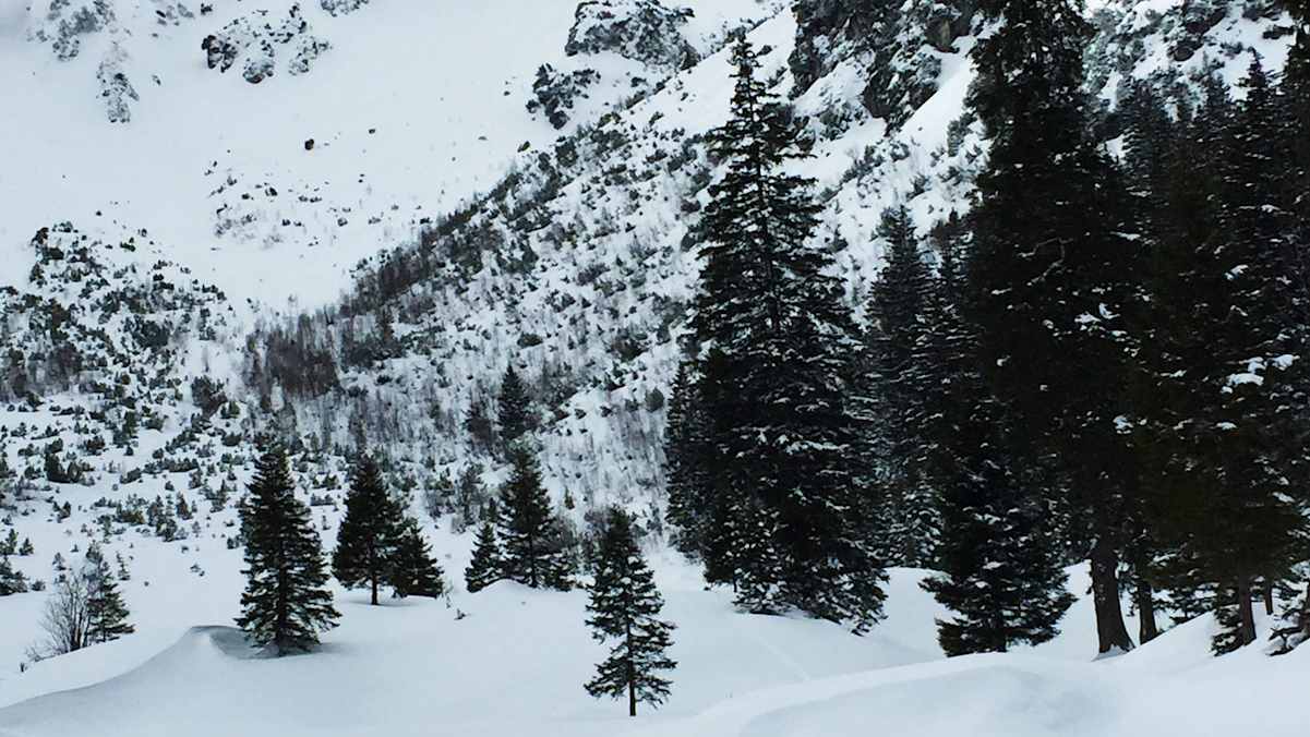 Skitour in den Allgäuer Alpen: Zur Kanzelwand in Bayern