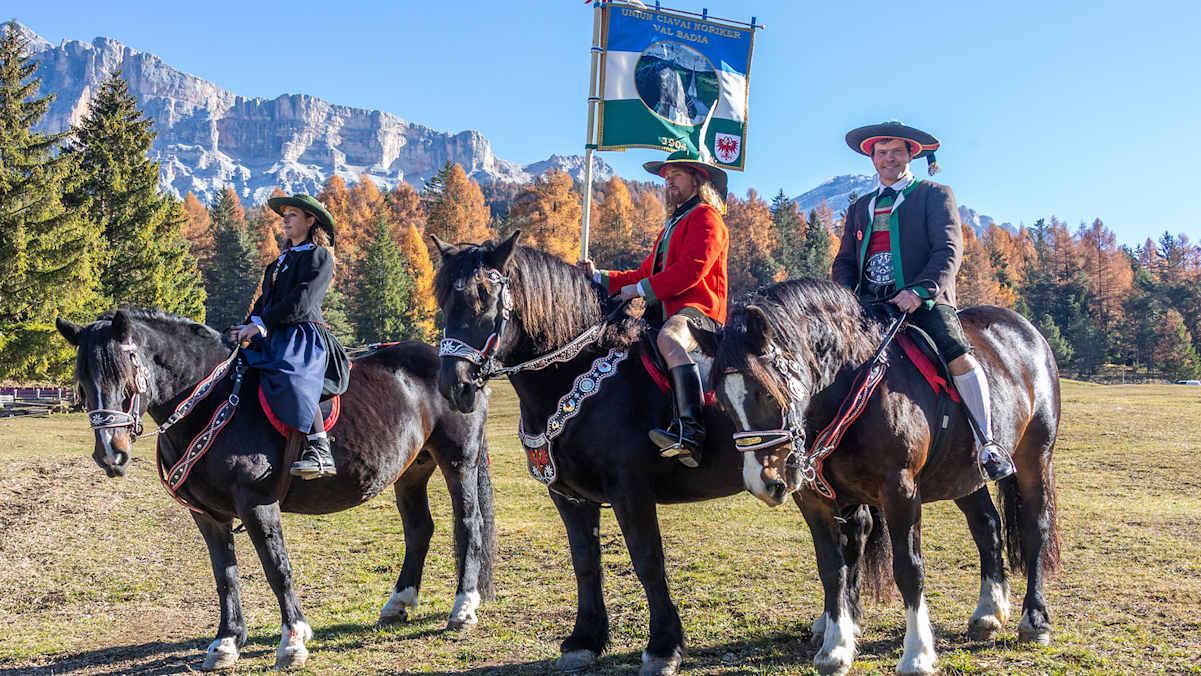 Drei Noriker-Pferde und ihre in bunte Trachten gekleideten Reiter.