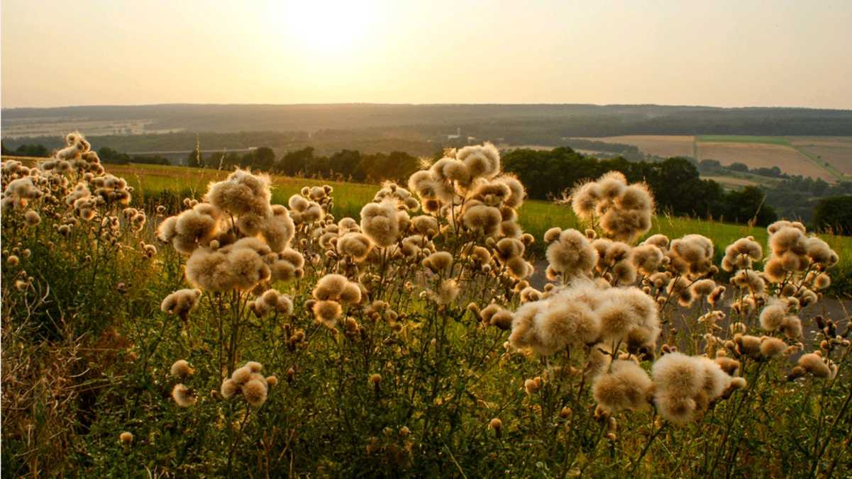 Wandern im Naturpark Bayerische Rhön