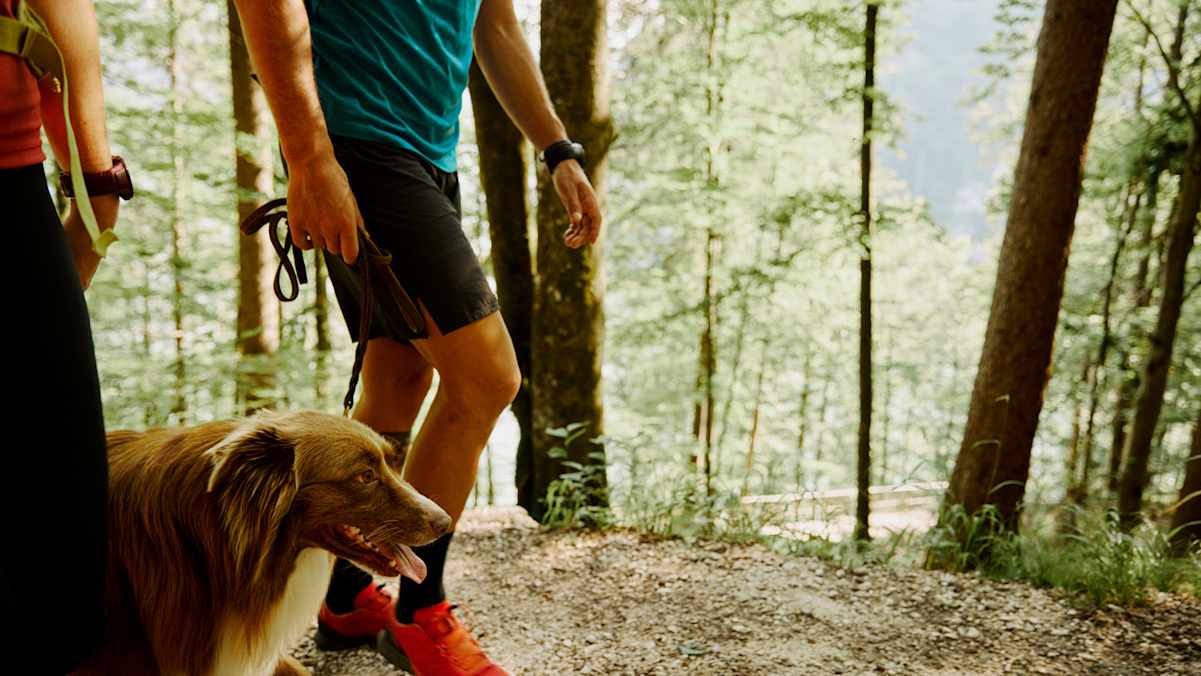 Die Leine sollte am Berg unbedingt dabei sein – hier bei einer Wanderung am Königssee
