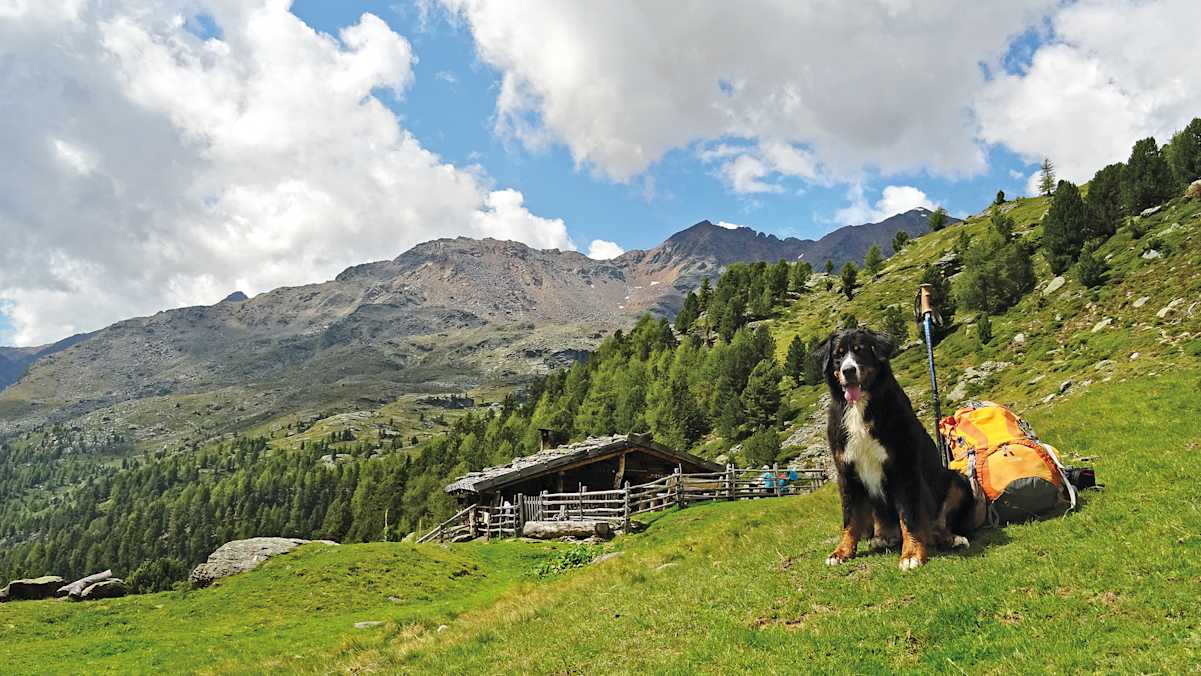 An der äußeren Pilsbergalm stößt man auf den Ultner Höhenweg.