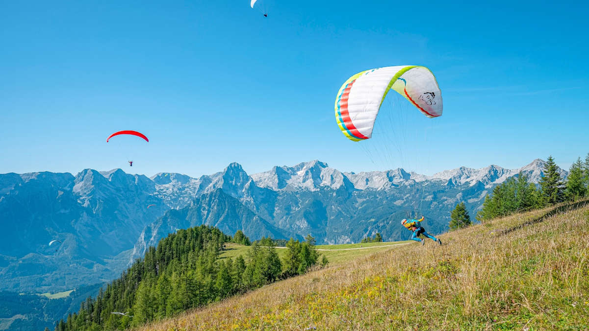 Gleitschirme in der Luft.