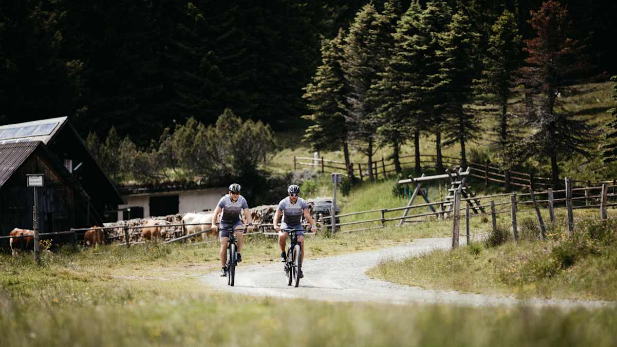Zwei Männer radeln mit dem Mountainbike an einer Alm vorbei. Im Hintergrund grasen die Kühe, dahinter steht ein Wald.