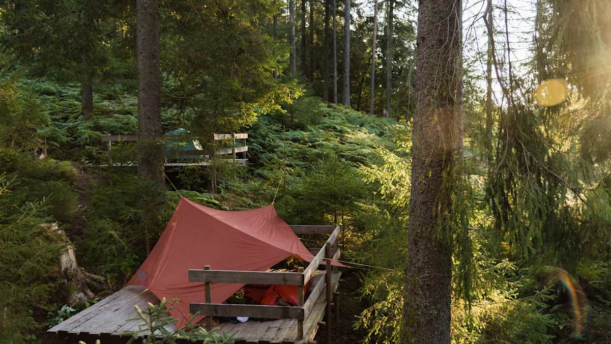Wildzelten und Wildcampen in Deutschland legal oder illegal