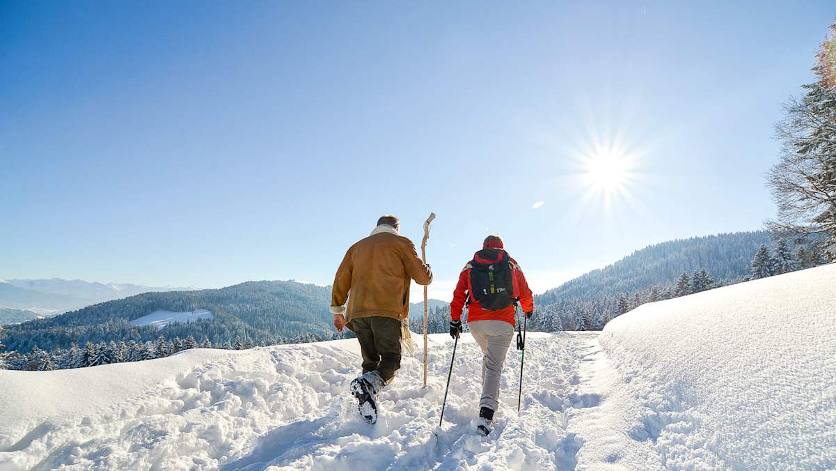 Zwei Winterwanderer stapfen in Scheidegg durch knöcheltiefen Schnee. Im Hintergrund verschneite Wälder und Berge.