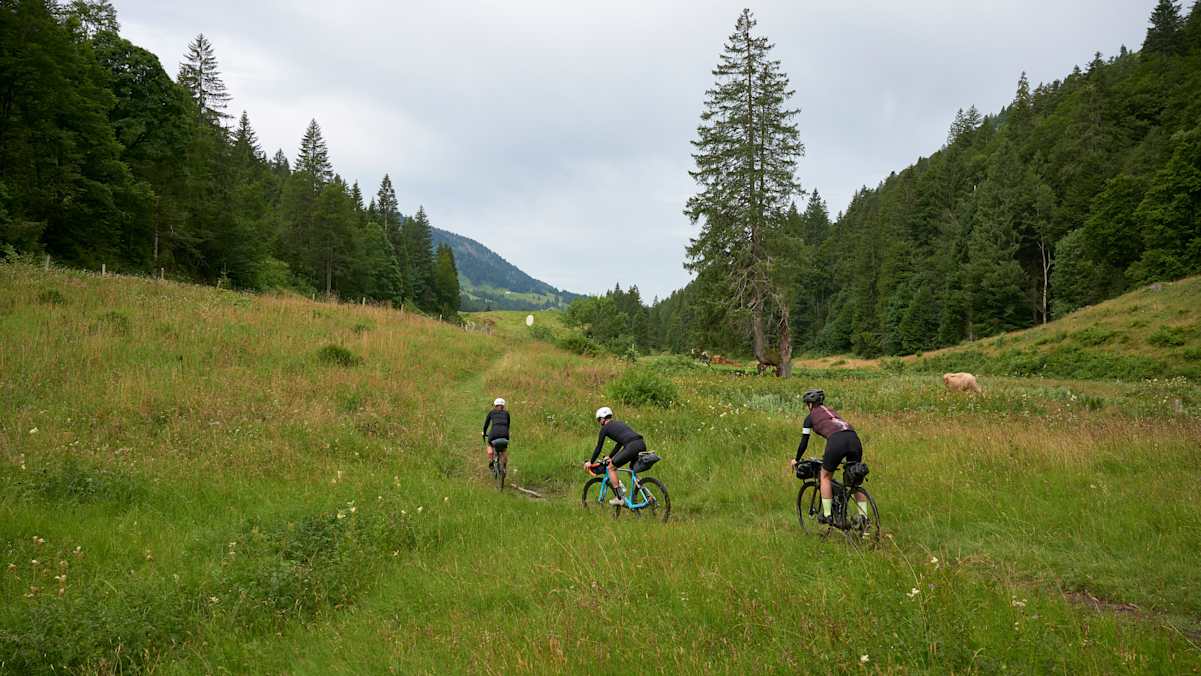 Bikepacking richtiges Rad