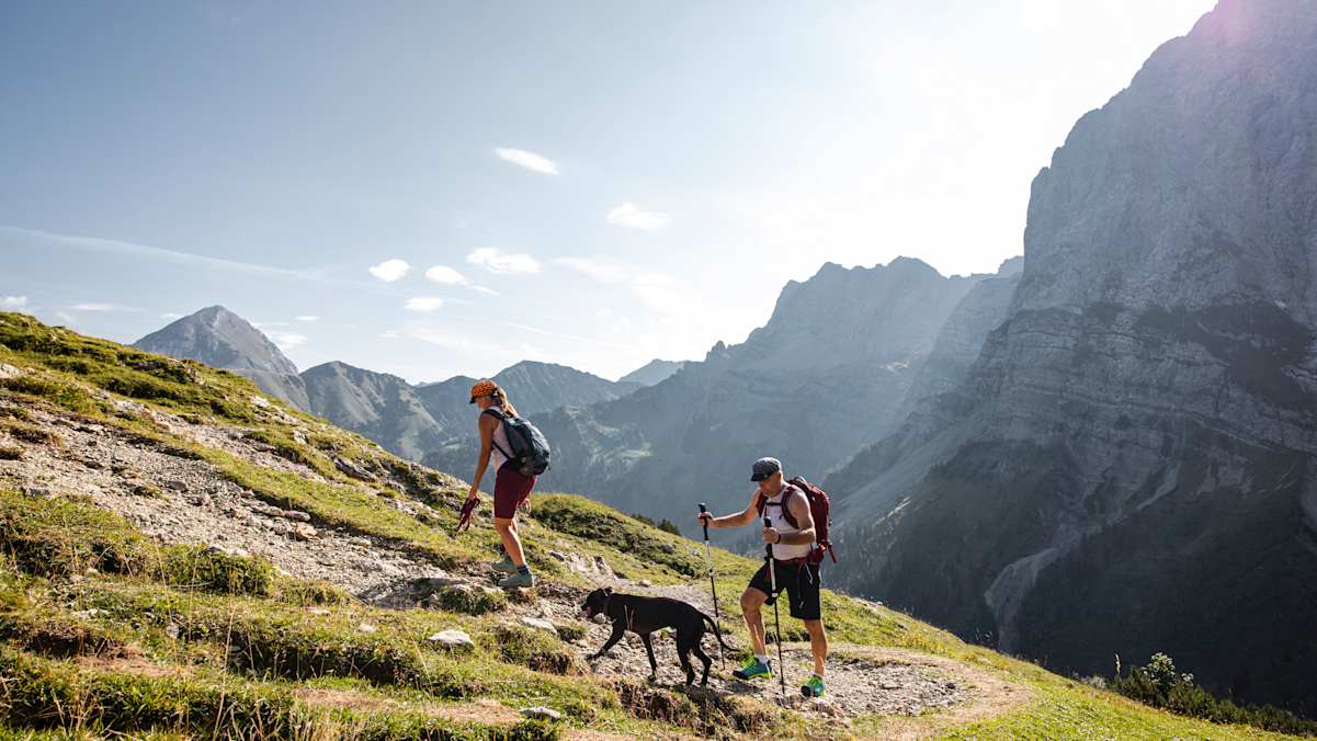 Länge und Schwierigkeit der Tour müssen auf den Hund abgestimmt sein.