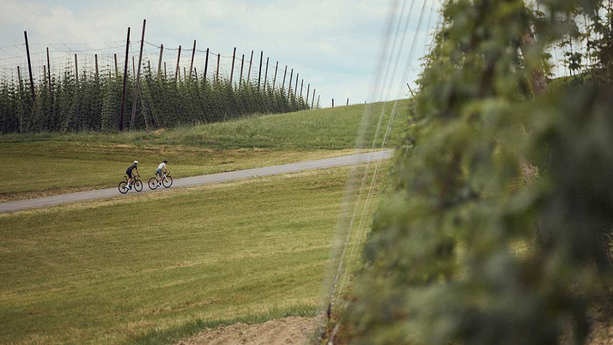 Eine Frau und ein Mann fahren im Mühlviertel zwischen Hopfenfeldern Fahrrad