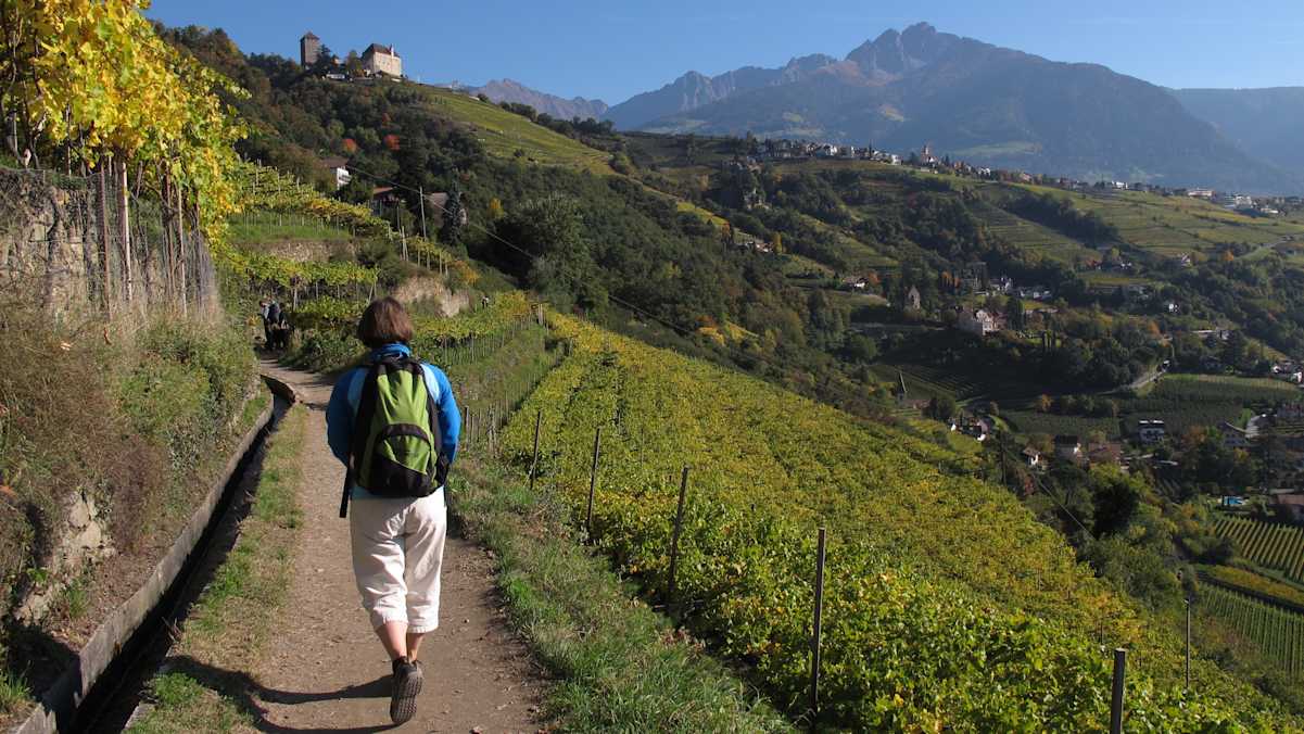 Blick über die Weinberge nach Dorf Tirol.