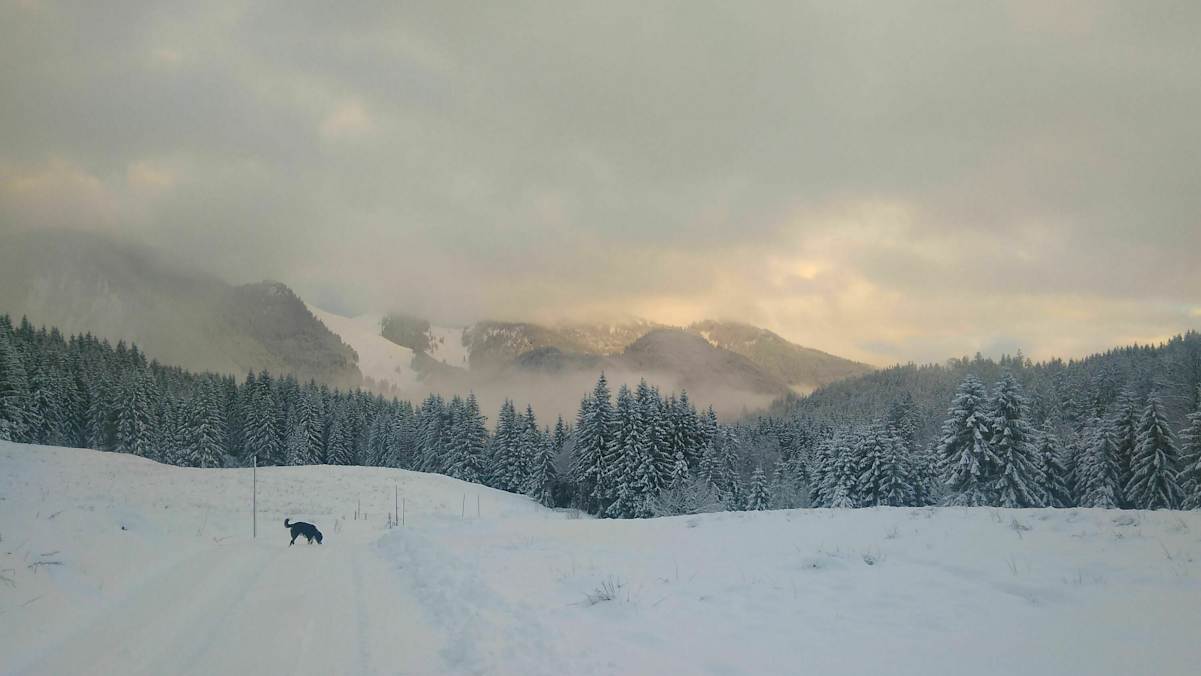 3D-Kartenausschnitt der Wanderung auf die Brecherspitze