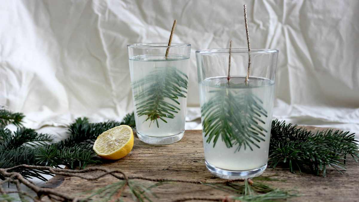 Die „Heiße Fichten-Zitrone" - ein wohltuendes Getränk in der Erkältungszeit