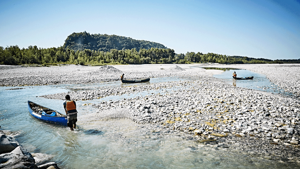 Ein Netz aus zahlreichen Haupt- und Nebenarmen bestimmt das Bild des Tagliamento. Ein Flusslauf, der nicht begradigt wurde und wie man ihn heute kaum mehr kennt.