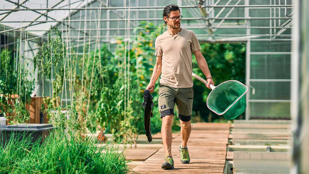 Martin Temmel in seiner Fischzucht mit Kescher.