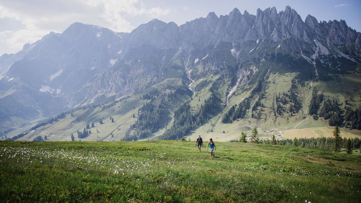 Blick auf das Hochkönigmassiv