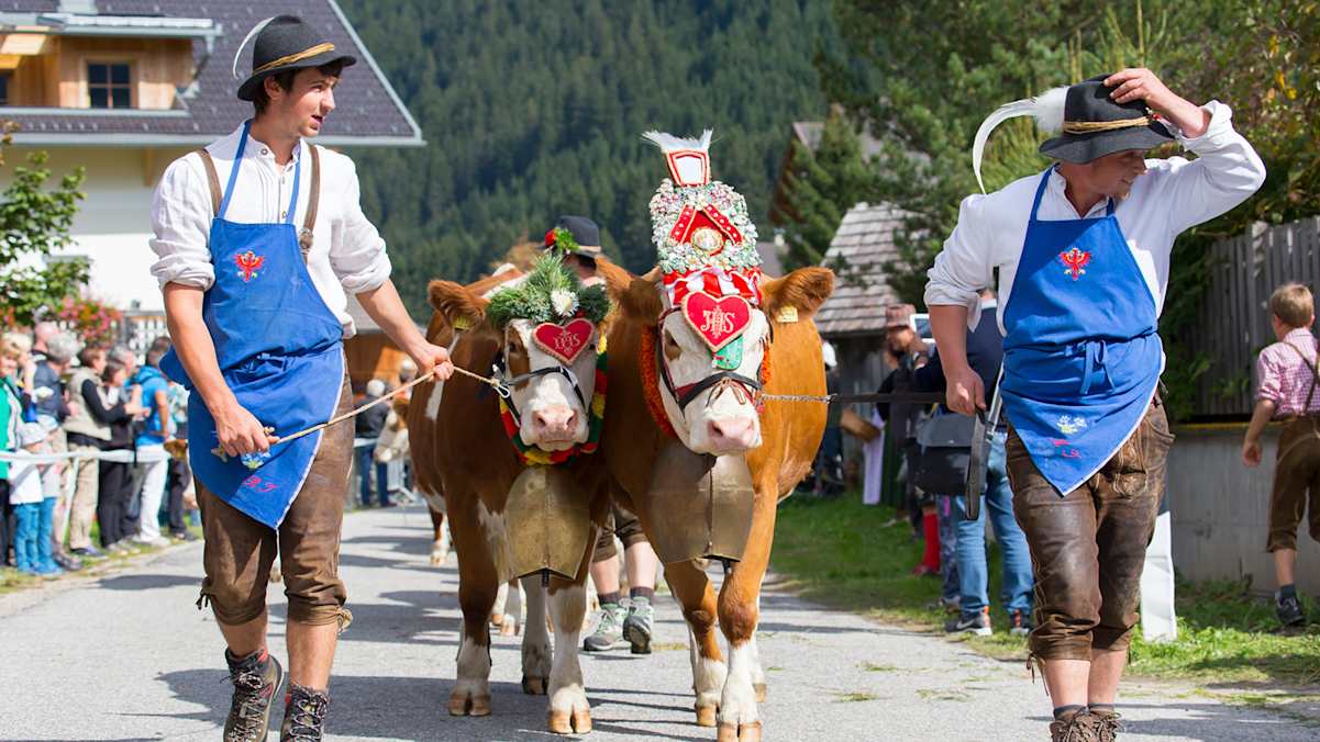 Der Almabtrieb wird im Gsiesertal groß gefeiert und ist für Einheimische sowie Gäste ein Erlebnis.