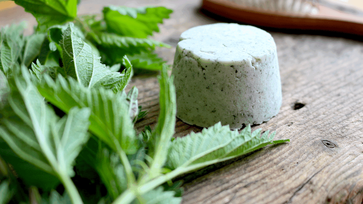 In Pulverform kann Brennessel in den Duschbar wunderbar eingearbeitet werden