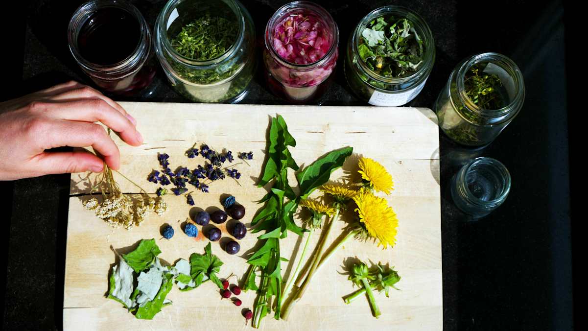 Ehrentag der Pflanze: Wildpflanzen & Heilkräuter