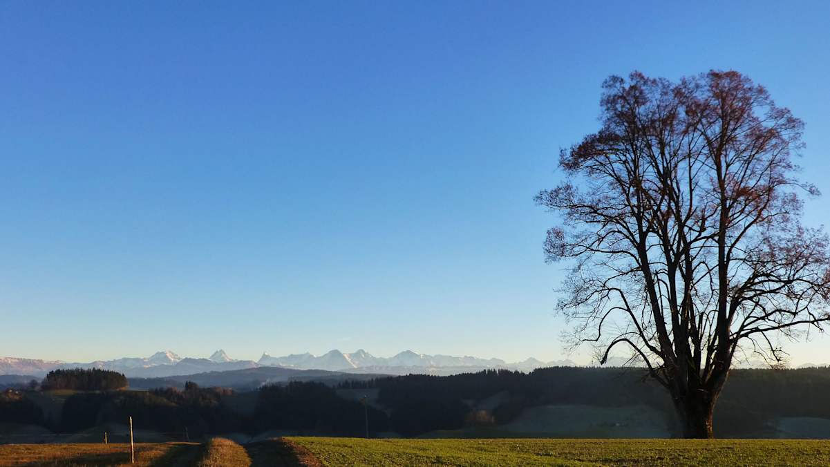Emmental in Bern: Aussichtspunkt Wasenegg Oberburg