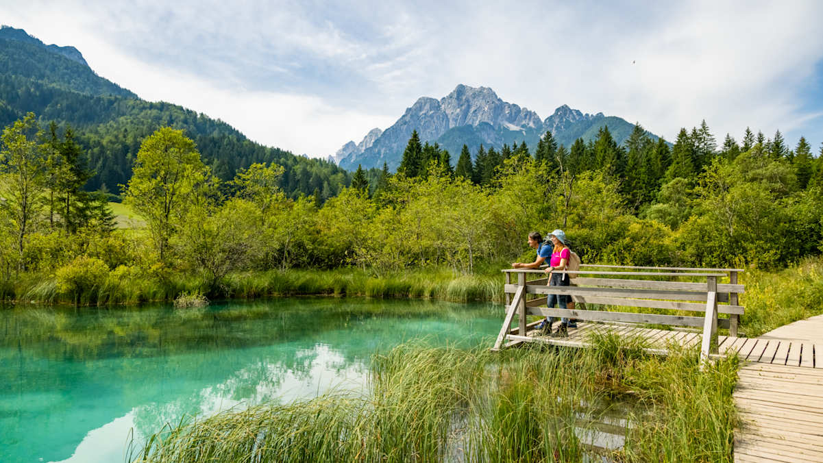 Die Laghi di Ledine (Save Flussquellen) im Naturschutzgebiet Zelenci