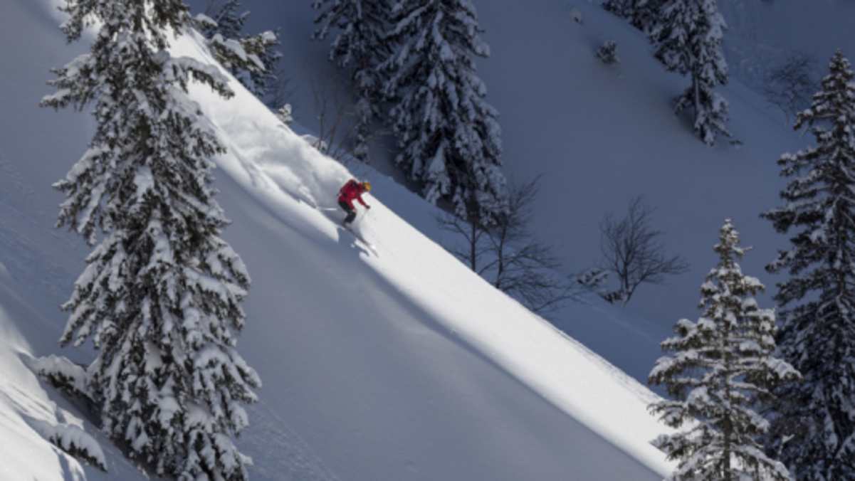 Auch dieses Foto stammt von Klaus: tiefster Powder in den Alpen