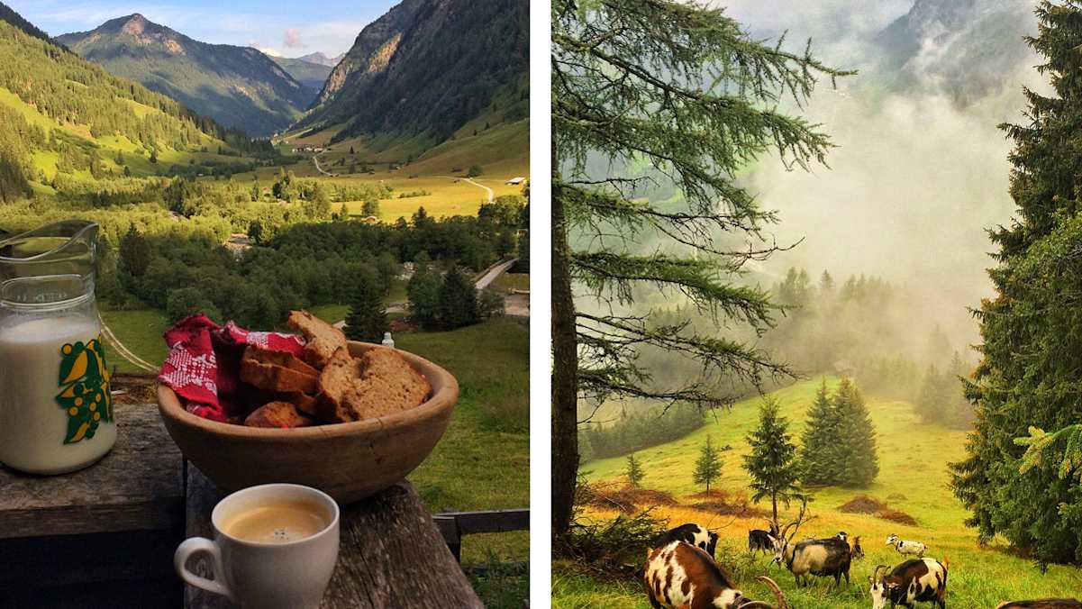 Frühstück auf Helgas Alm