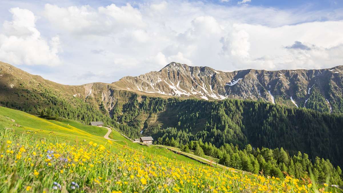 Ruhig und naturbelassen: Das Gsiesertal zählt zu den Geheimtipps in Südtirol.