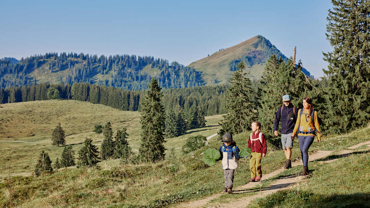 Wandern mit kleinen Kindern Kindergarten
