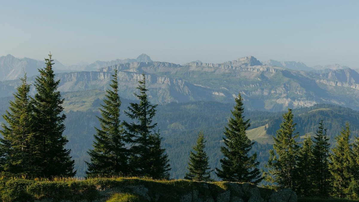 Blick auf die Gottesackerwände