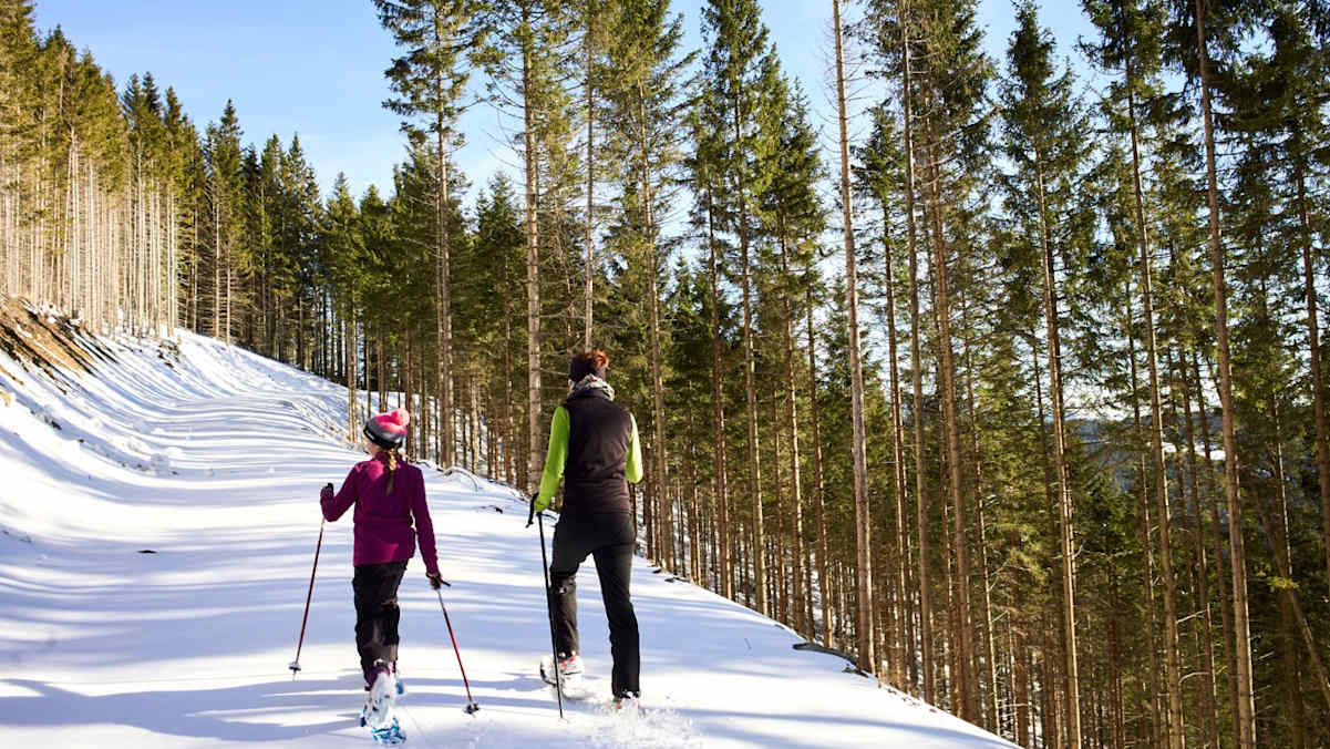 Schneeschuhwanderung am Sonnwendstein