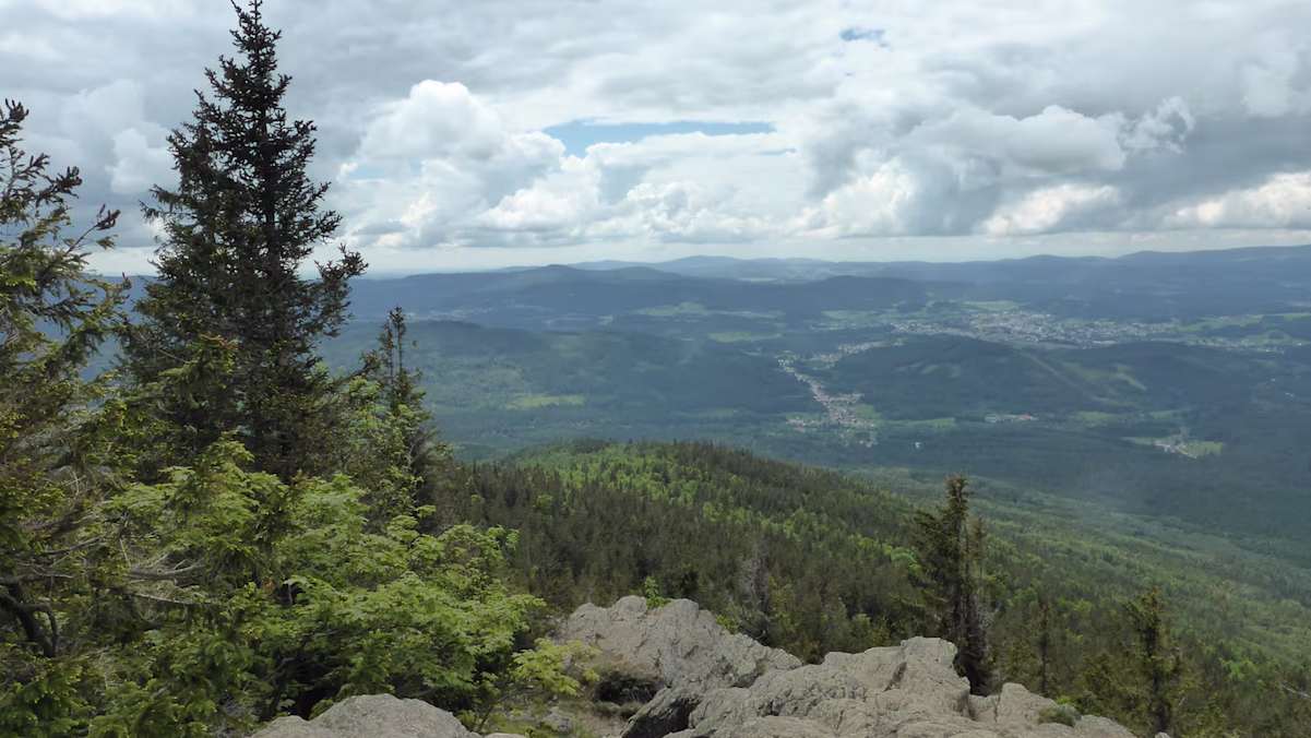 Aussicht vom Großen Falkenstein
