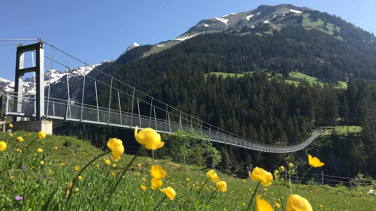Die imposante Hängebrücke bei Holzgau.