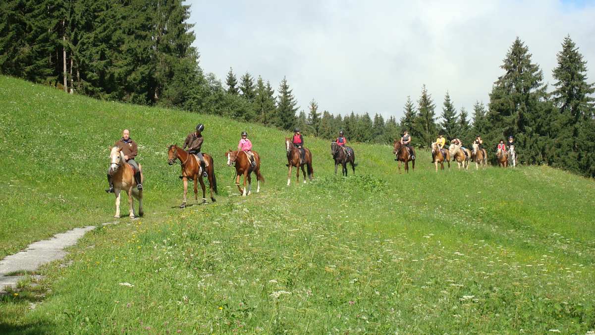 Eine Gruppe von Personen reitet auf Pferden über eine Wiese, Wald im Hintergrund.