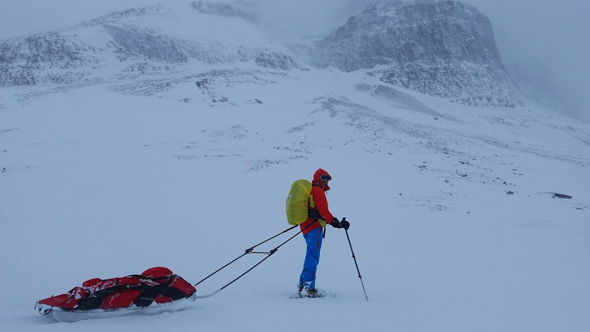Hans Goger: Expedition im hohen Norden