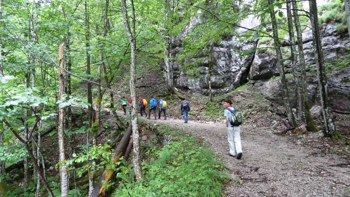 Durch den Hartelsgraben führte eine alte Forststraße bis hinauf zur Sulkaralm.