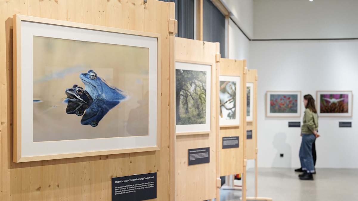 Haus der Berge Ausstellung