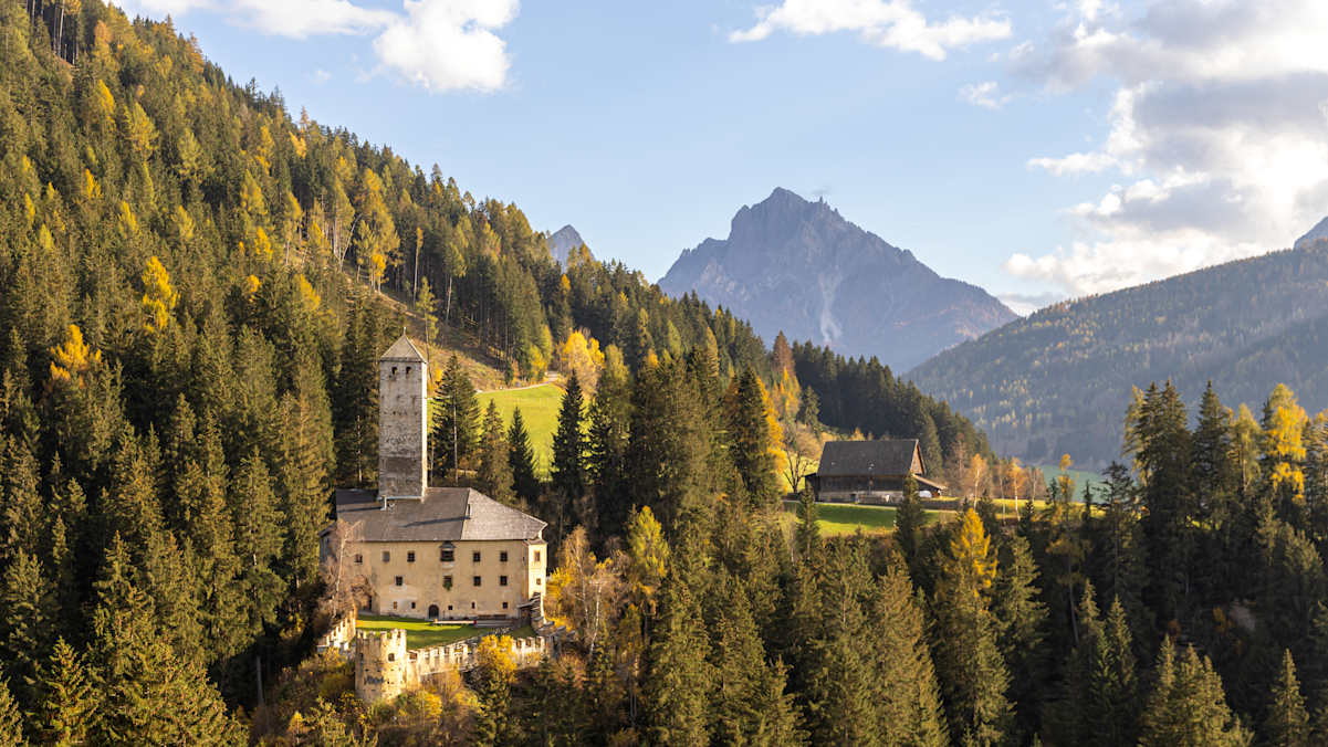 Schloss Welsperg über Welsberg, Gsiesertal, Ausblick auf Wald und Hügel