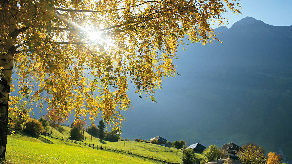 Herbstwanderung rund um Meran