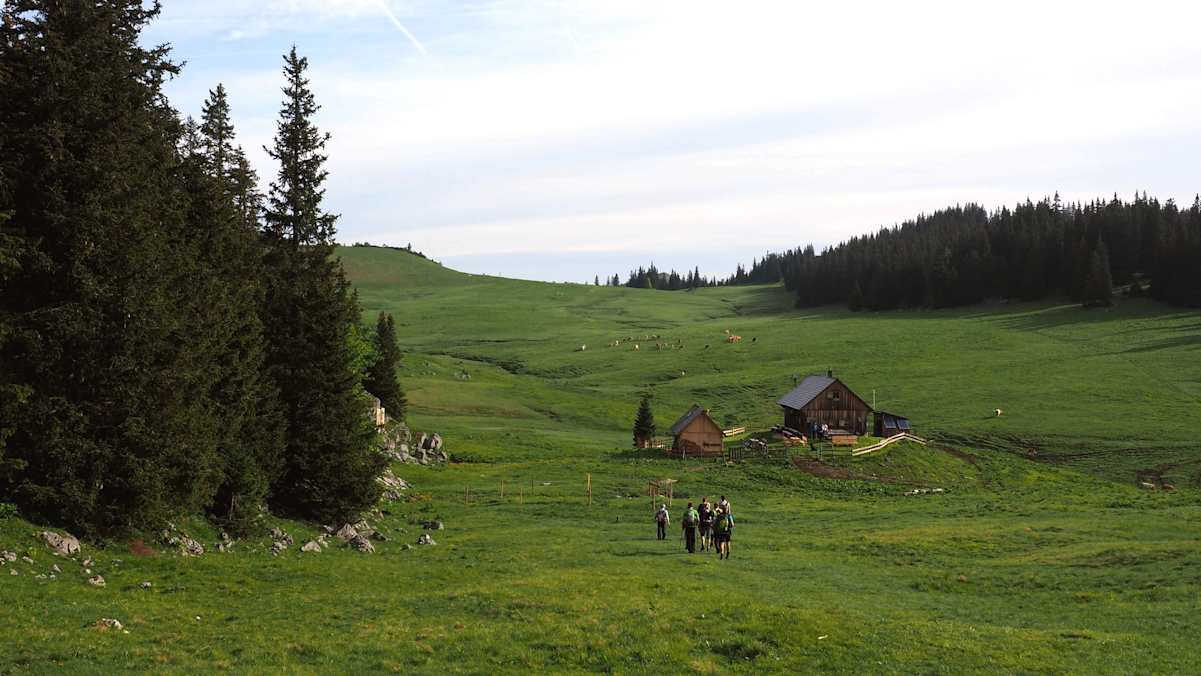 Am Herrenboden am Weg zur Tonion.