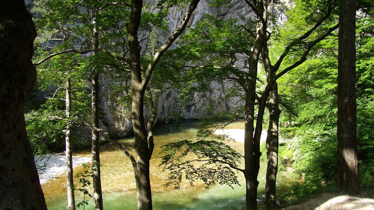 Das Höllental zwischen Kaiserbrunn und Reichenau