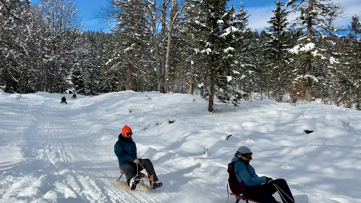 Rodler auf der Kranzberg-Rodelbahn