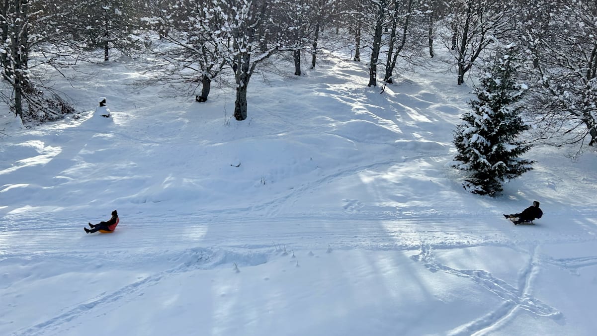 Rodler auf der Kranzberg-Rodelbahn