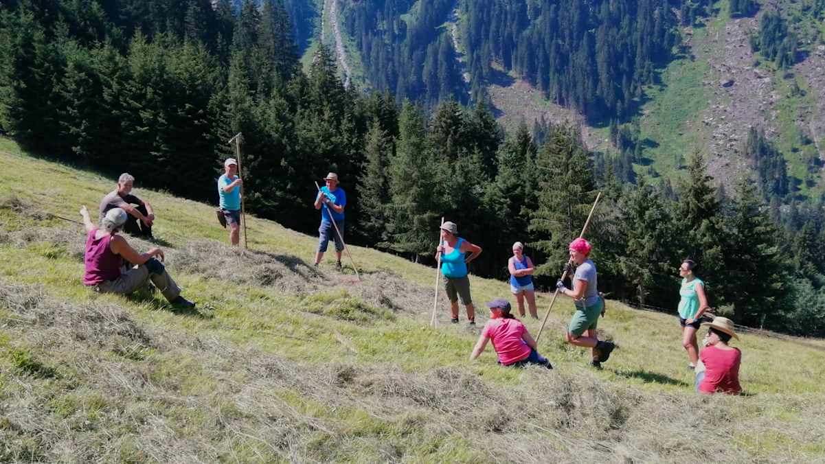 Personen stehen auf einer Bergwiese und ruhen sich von der Arbeit aus.