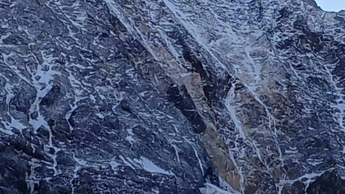 Königsspitze Nordwand