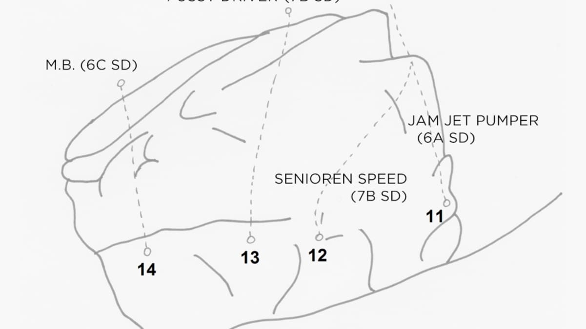 Bouldern am Attersee