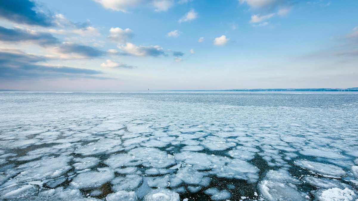 Vorarlberg: Eisdecke am zugefrorenen Ufer des Bodensees