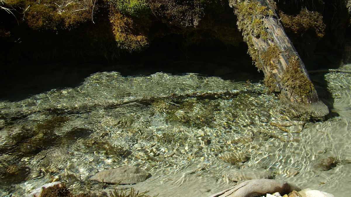 Die Isar entspringt als glasklare Quelle im Hinterautal im Naturpark Karwendel.