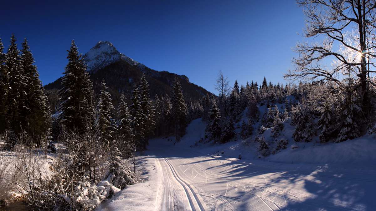 Teilstück der Loipe Pulverer Mahd Runde