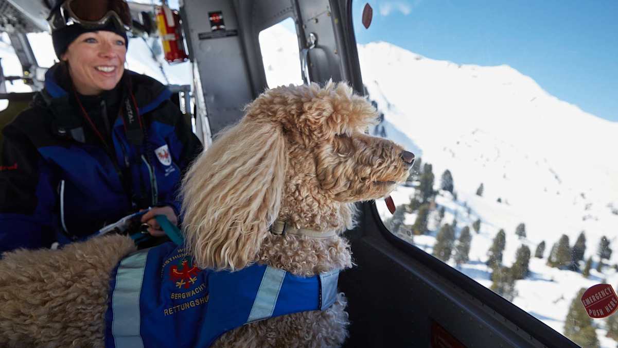 Bergretter und Suchhund im Hubschrauber